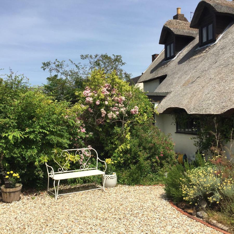 The Cottage Studio Уул Екстериор снимка